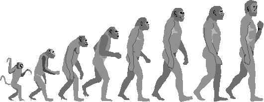 Evolution.jpg (12711 bytes)